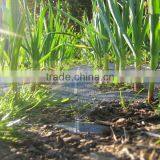 PP or PE Plastic Weed Control Mat With Green Line thumbnail-6