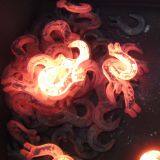 CT88KA-63 Steam Forging Hammer Reform 2.5Tons thumbnail-5