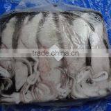 Frozen Loligo Squid thumbnail-1