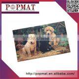 Wholesale Non-slip Bathroom Floor Mat Cotton-imitated Velvet Large Door Mat thumbnail-2