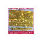 Digital Inquires the Hologram thumbnail-1