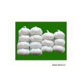 Sell Fresh Garlic thumbnail-1