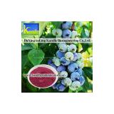 Sell Blueberry Extract(Anthocyanin 5%-70%)