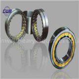 Cylindrical Bearing NU305 NJ305 N305 in Cylindrical Roller Bearing