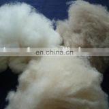 Pure fine dehaired Chinese natural white goat cashmere fiber15.5-16.5mic 22-28mm