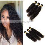 2017 hot sale kinky curly malaysian virgin hair product