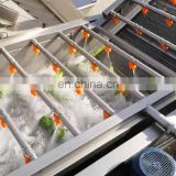 Wide Range Application Leaf and Root Vegetable Bubble Washer Machine For Sale