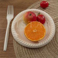 Eco-friendly Compostable Disposable Fruit Dinner Plate thumbnail-2