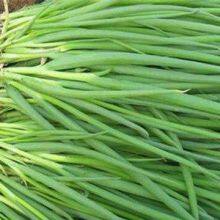 Hot Sell Hybrid Vegetable for Resistance Scallion Seeds Green Chinese Onion Chinese Shallot Seeds thumbnail-2