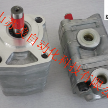 Japan SHIMADZU YP10 Gear Pump YP10 Oil Pump thumbnail-3