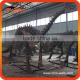 Museum High Quality Realistic Emulation Shunosaurus Dinosaur Fossil