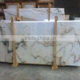 Directdialogue Unipessoal Lda company overview - view 1 thumbnail