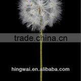 78cm Artificial Flower Taraxacum Stem thumbnail-1