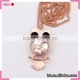 Women accessories jewelry owl pendant necklace, women accessories wholesale