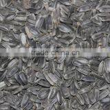 SUNFLOWER OIL ( Cold Press ) thumbnail-5