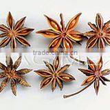 Star Aniseeds Anise Without Stems, Reddish Color - Best Price & High Quality by HAGIMEX thumbnail-2