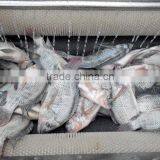 Industrial High Efficient Fresh Ginger Potato Washer and Peeler Root Vegetable Washing and Peeling Machine Fish Skin Peeler thumbnail-2