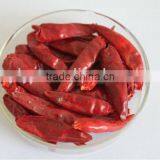 AD Dried Red Chilli HACCP/ GAP/FDA/HALAL thumbnail-5