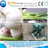 Garlic Root Cutting Machine Garlic Root Cutting Machine thumbnail-2