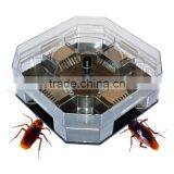 Cockroach Trap