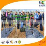 Transplanter for Vegetable Seedlings Used for Plastic Film in Greenhouse thumbnail-3