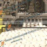 Medicine Packing Conveying System