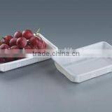 Rectangle Disposable Plastic Fruit Tray, Food Packing Tray thumbnail-2