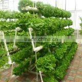 Agricultural Hydroponic NFT Planting Growing System thumbnail-1