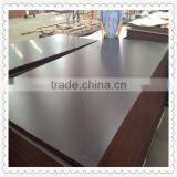 Brown Film Faced Plywood,construction Plywood,marine Plywood thumbnail-2