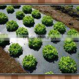 PE Black Agricultural Mulch Film thumbnail-1
