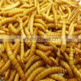 Freeze Dried Meals Sold on thumbnail-1