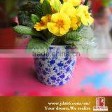 Decorative Ceramic Flower Pot thumbnail-2