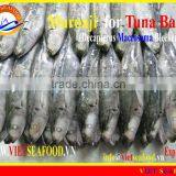 FROZEN W/R MUROAJI FOR TUNA BAIT thumbnail-3