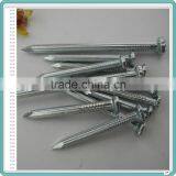 High Quality Cement Concrete Nail thumbnail-3