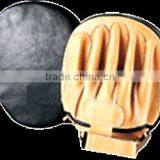 Boxing Focus Pad