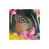 Sell 1.499 Single Vision Glass Lenses thumbnail-1