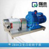 Sanitary Stainless Steel Pump thumbnail-1