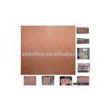Red Sandstone Paver thumbnail-1