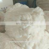 Cheap Rex Rabbit Skin Uncut Genuine Rabbit Fur Leather 100% Wholesale thumbnail-1