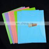 Cheap Plastic Colorful A4 Size File Folder