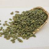 Shine Shell Pumpkin Kernel thumbnail-4