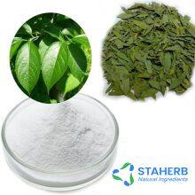100% Pure Eucommia Extract Chlorogenic Acid Powder 5-98%（10% 25% 30% 50% 90%） (HPLC) thumbnail-1