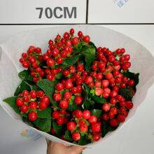 Fresh Cut Berry From China China Fresh Flower Supplier