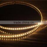 220v Led Strip 3014 Lighting for Wedding Decoration thumbnail-2