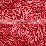 Chinese Premium Dried Tianying Chili(Chaotian chili)