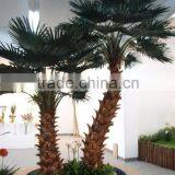 Imitation Tree/imitation Palm Tree/artificial Tree