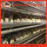 Stable Steel Structure Chicken Layer Cages South Africa Poultry Farm thumbnail-5