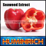 Huminrich Shenyang 3-5-17 Npk Promote Plant Growth SY1002 Kelp Seaweed Powder