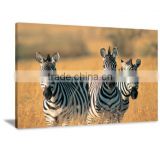 African Scenic Wall Canvas Printed Painting For Livingroom DWYS37