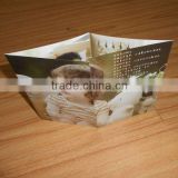 Custom mini brochure printing